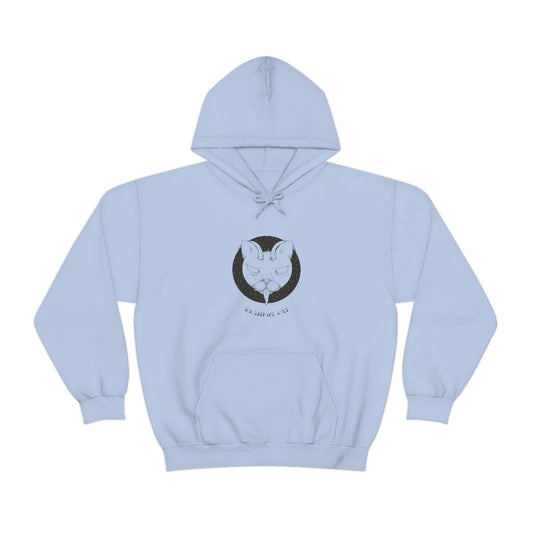 Unisex Heavy Blend Hooded Sweatshirt